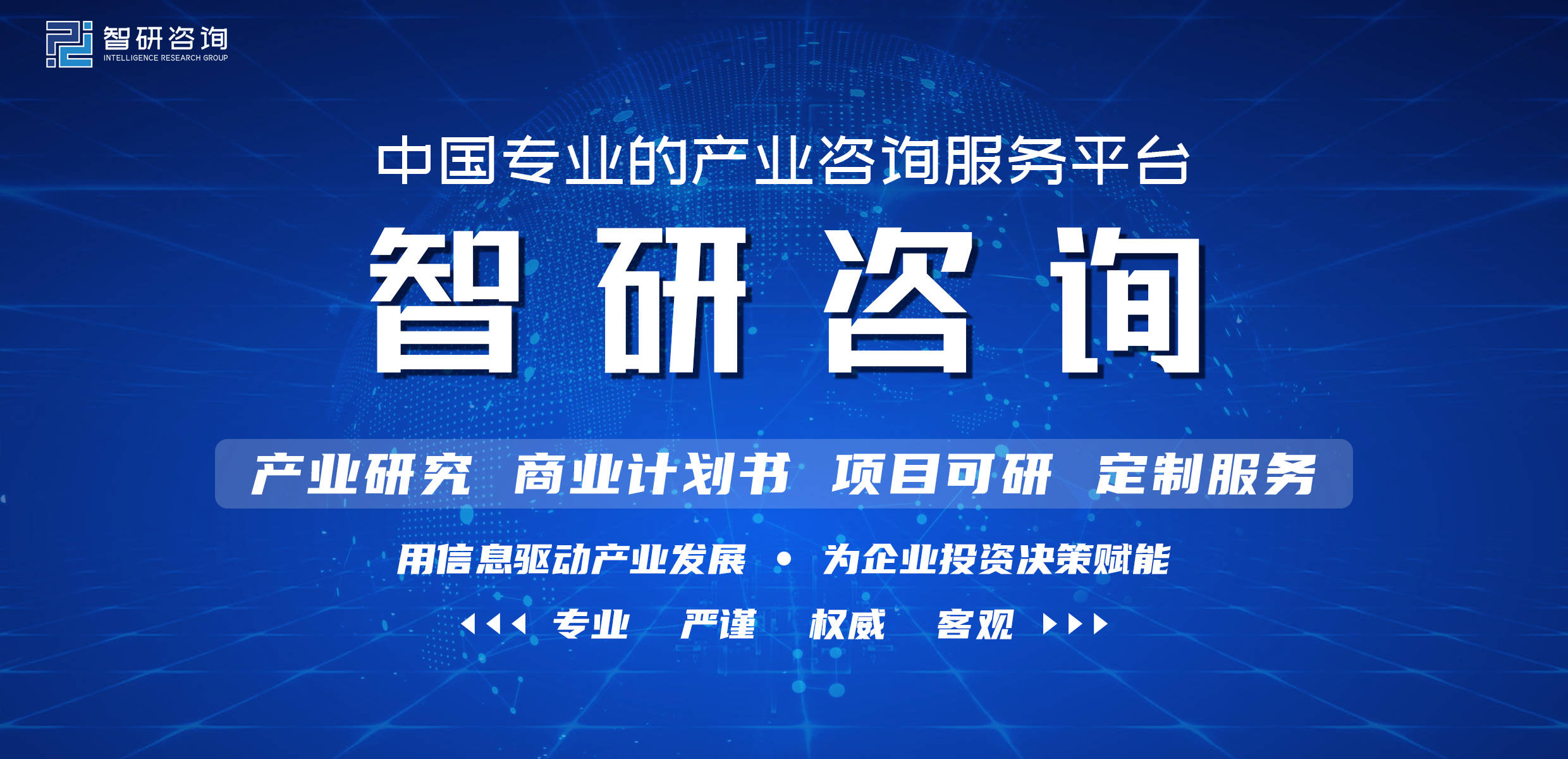 2022-2028年中国品牌皮具行业市场调研分析及投资潜力研究报告(图1)